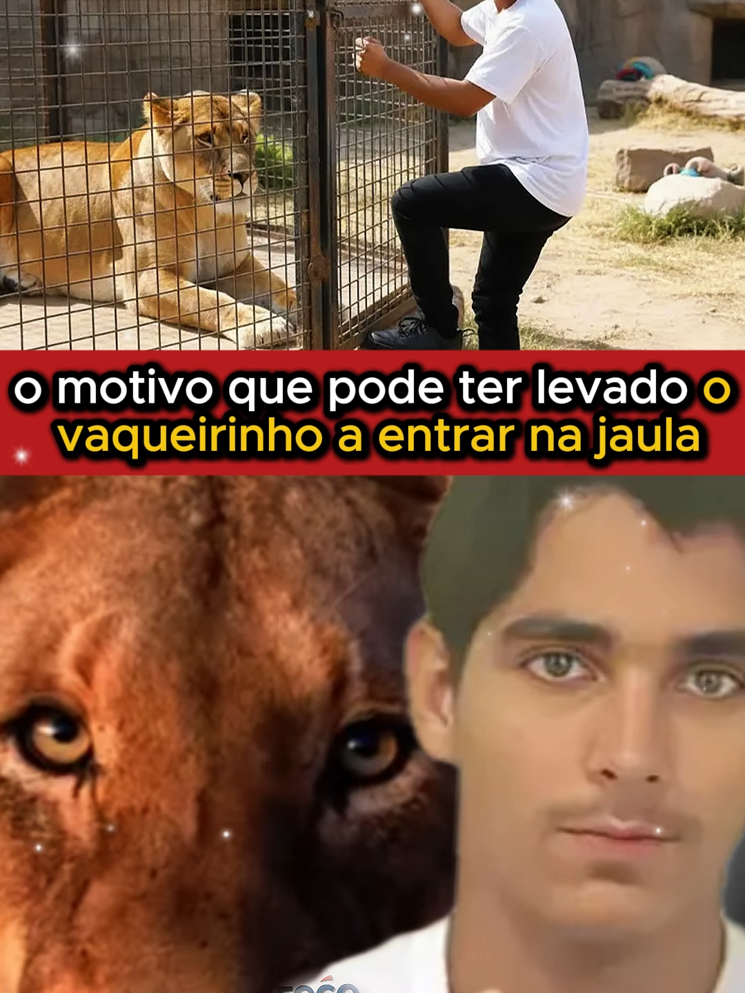 Homem Invade Jaula João Pessoa | vaqueirinho joao pessoa | homem leao joao pessoa video completo #vaqueirinho#leoa#joaopesso