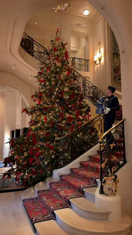 A traditional Christmas begins at the Ritz Paris. ✨ This year, our iconic teddy bear takes center stage, twinkling under the lights in a tree made of pure childhood magic. 🎄🧸 📷 : @raphaelmetivet  #ritzparis #rendezvous15placevendome #hotelsuite #xmas #festiveseason 