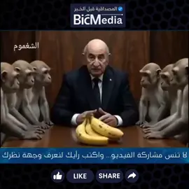 نجاح خطة تبون للرفع من قيمة الدينار 😀 ‎#إنهيار_الدينار ‎#الجزائر🇩🇿 