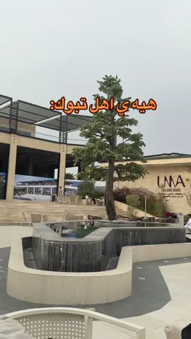 #تبوك#الشعب_الصيني_ماله_حل😂😂#your_coffee#نيوم 