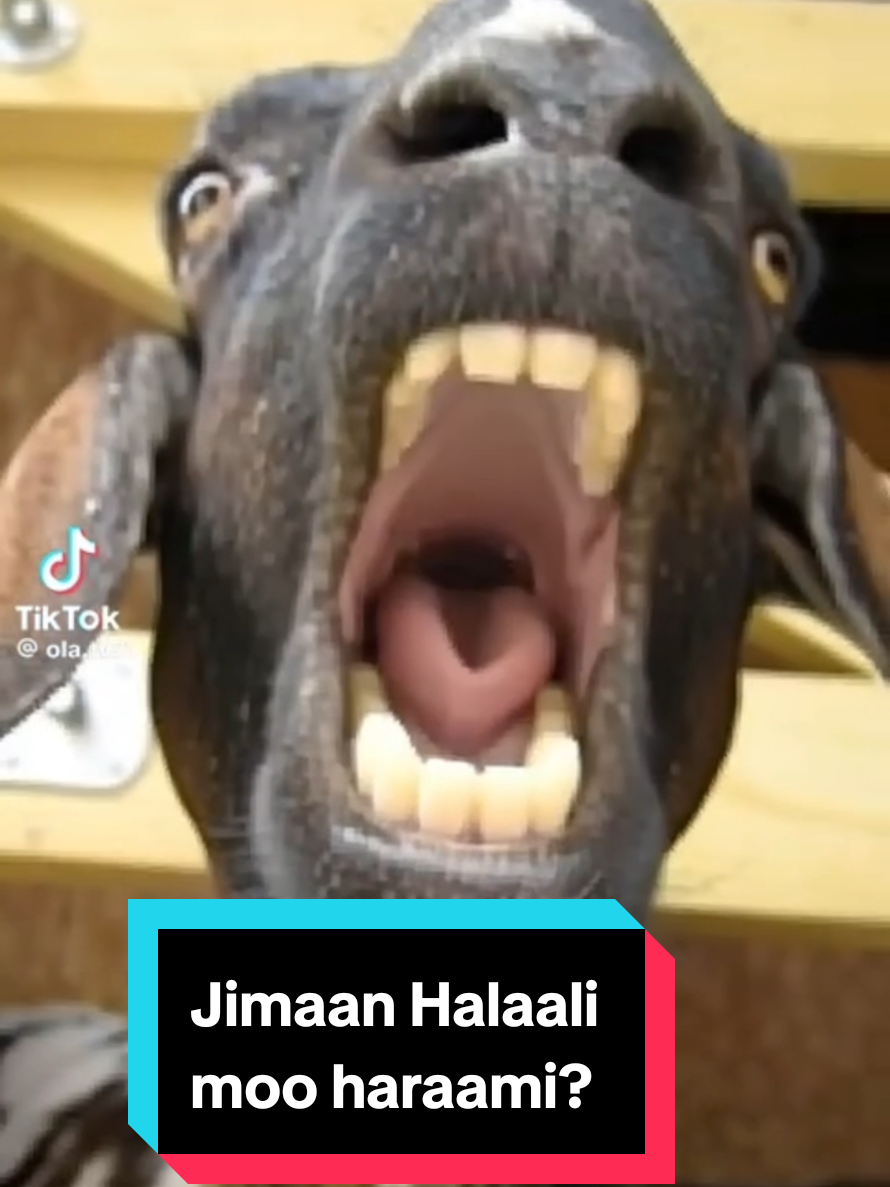 #creatorsearchinsights  👂👂👂👂👍