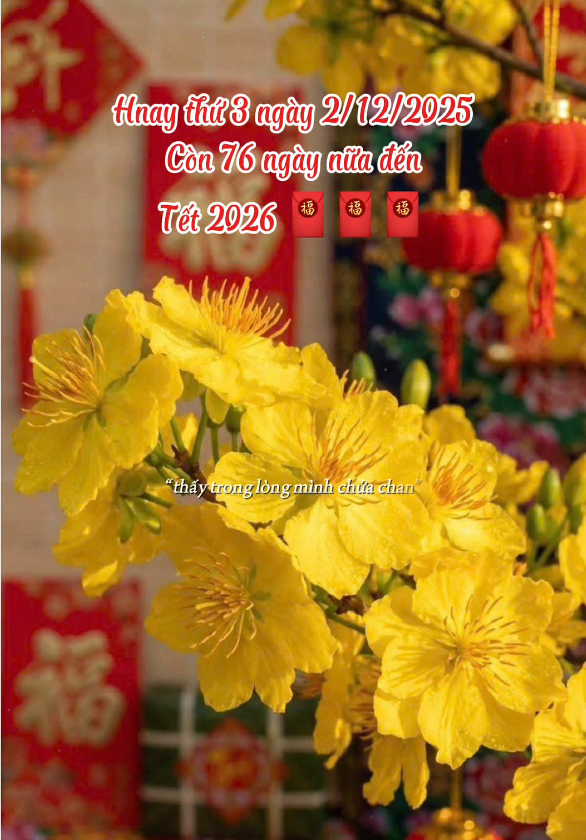 Tết đến nhanh quá năm nay lại nháp nữa rồi mn..! #tet2026 #nhacxuan #capcut #capcutpioneer #pioneertemplate 