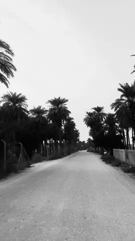 #ميسان #الكحلاء 