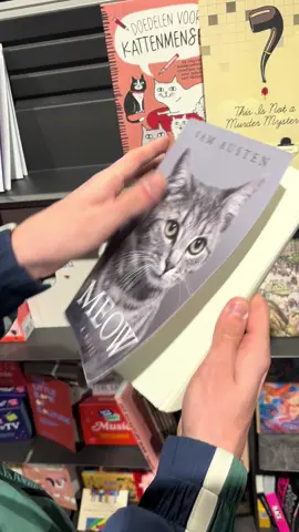 🐈‍⬛ #fyp #cats 