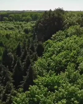 ما تيسر من القرآن الكريم بصوت الشيخ سعود الشريم #قرآن كريم #تلاوة خاشعة #oops_alhamdulelah 