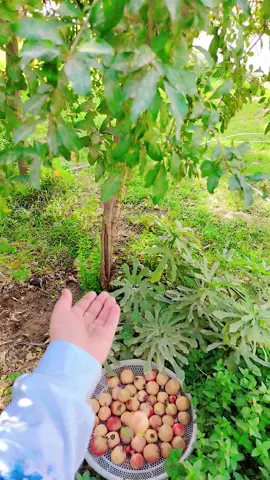 #اللهم_صلي_على_نبينا_محمد #يارب 