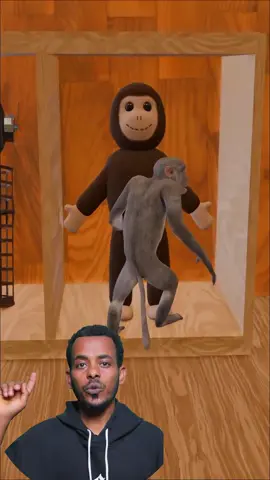 #ኒዉላይፍ #newlife 