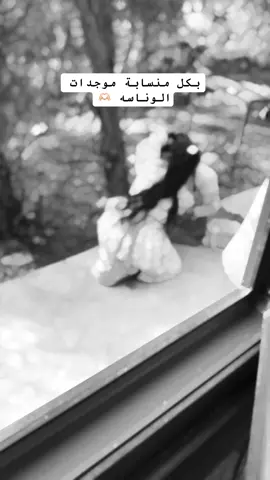 هم عدكم هيج اجوا لو بس احنا #كركوك_طريق_بغداد #الحويجه_دار_العز #المفرجي🇮🇶✌ @طارق زياد 