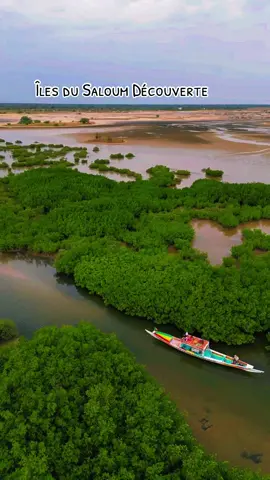 L’équipe « Îles du Saloum Découverte » est spécialisée dans l’accompagnement de visiteurs désireux d’explorer le delta du Saloum, une région classée au patrimoine mondial de l’UNESCO et réputée pour sa biodiversité, ses mangroves, et la richesse de ses traditions. #senegalaise_tik_tok🇸🇳 #senegal #iledusaloum #pirogue #excursion  Sénégal 