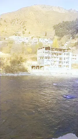 #1111ช้อปสุดมันส์วันเลขเบิ้ลเคราตินสด #viwesproblem😌🙏💔 #foryoupageofficiall 