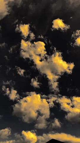 آنا ماريا أولفا:لاتؤلم نفسك بان تحب من لا يهتم بك 