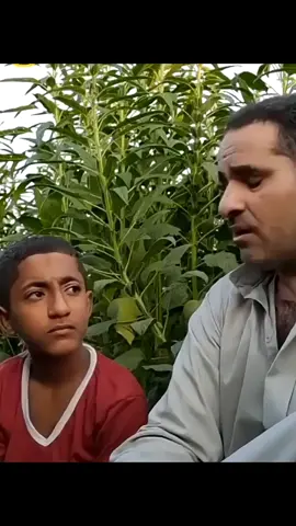 #educatoraward #7ahmed_a7hmed 