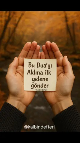 “Kalbinden geçen ilk kişiye bir dua gönder…” Her dua bir kalbe dokunur… Bazen aklından geçen ilk isim, aslında duaya en çok ihtiyacı olandır. Huzurun sonbaharından, kışın sessizliğine… Rabbim; kalbimizi genişletsin, yolumuzu aydınlatsın, gönlümüze ferahlık versin. Göndereceğin bu dua belki de birinin sabrı olacak. Birinin umudu… belki de yarınını değiştirecek. 🌸 Sevgiyle gönder, 🌿 İçtenlikle dile… ∞ Çünkü dualar, yollarını bulur. #duamesajı #huzurlusabahlar #kalbindefteri #maneviyat #güzelbirgünolsun
