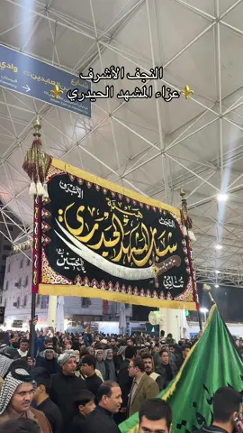 عزاء ام الأقمار #النجف_الاشرف #عزاءالنجف_المهيب #كرارابوغنيم #العباس_عليه_السلام #tiktok @تراث النجف الحسيني @⚜️yahyaa ahmad⚜️ 