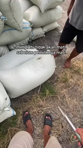 tolong kaki saya sakit🙏🏻#masukberanda #jawapride #xybca #fyp #galaubrutal 