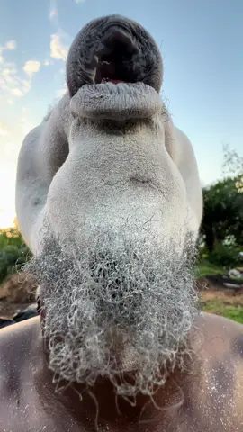 #ahoufe_ #viral #trending #fyp #trend 