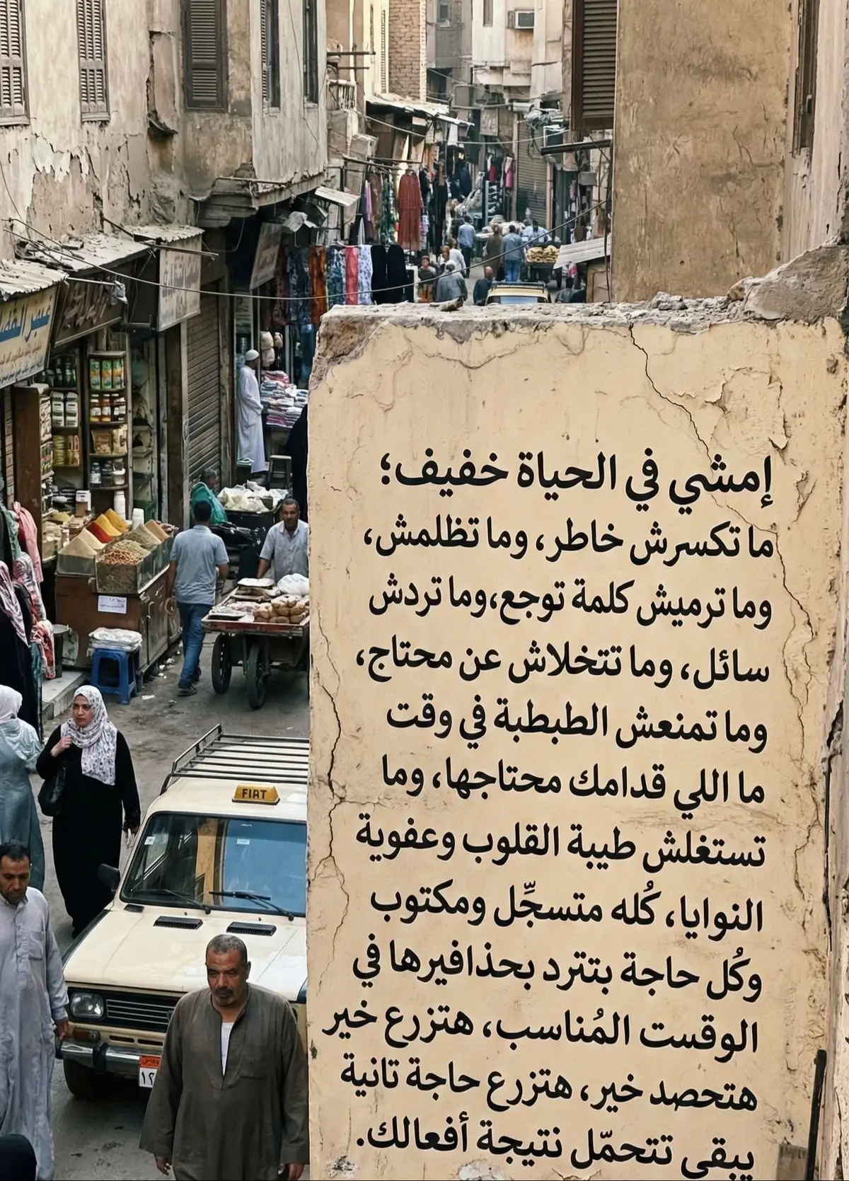 #Egypt #stories #story #explore #foryou 