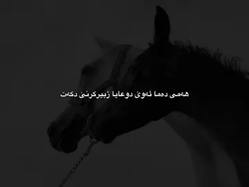 ژبیر ناکەین🫠#falsel0ve #dhuke_zaxo_akre_arbil_iraq 