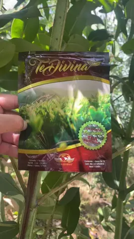 Proceso de la desintoxicación #fypシ゚ #tedivina #perú🇵🇪 #paratiiiiiiiiiiiiiiiiiiiiiiiiiiiiiii 