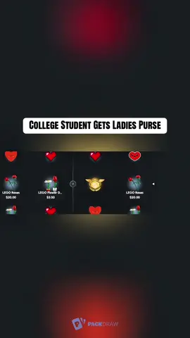 College Student Gets Ladies Purse