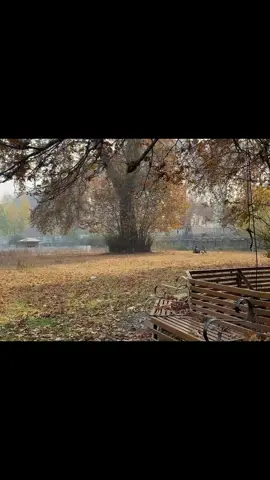 Meri hatheli mai teri duaein hain.🥹 #fypシ゚ #fypageシ #fyppp #viral  #jenniferl143 