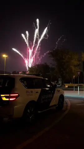 #الامارات_العربية_المتحده🇦🇪 #alain #explore #foryoupage #