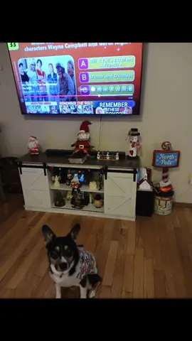 #liveincentiveprogram #sidehustle #momsover30 #MomsofTikTok 