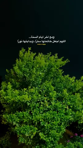 آخر اقتباس نسخته… #الانبار #الرمادي_شموخ_عزالانبار #الانبار_الرمادي #محافظات_العراق  اللهم مع آخر أيام السنة… اجعل خاتمتها سترًا، وبدايتها نورًا