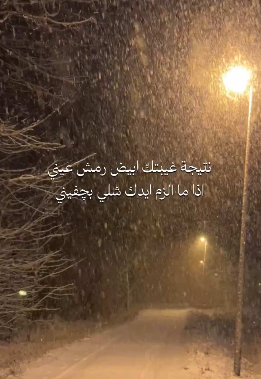 اذا ما الزم ايدك شلي بچفيني… قصيدة 