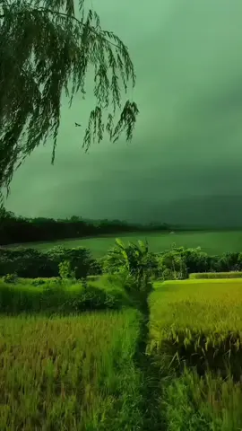 marmar bey rumoowan wax walbood rajeysaa🥹🇨🇭#foryoupage #fyp #zurich🇨🇭 #switzerland🇨🇭 #foryou @caanka switzerland 🇨🇭 💕 @JEEBE EDIT📷 