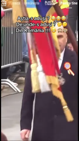 Reacția Românilor aduși din România la sărbătoarea națională 😬 🙈🙉 #creatorsearchinsights #romania #foryou #pentrutine #traveltiktok 