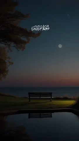 #ريان_المحيسني #القرآن_الكريم #تلاوة_قرآنية #تلاوة_مؤثرة #قرآن_كريم 