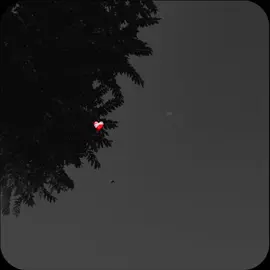 main kheyia kado Milan gi..#grow #account #foryoupage #viral #whoam322 