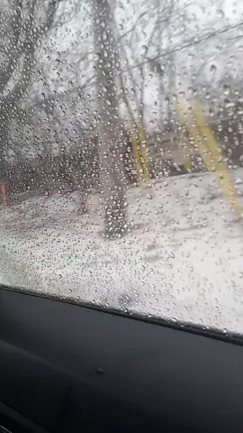 Life goes by fast ..enjoy every season  #lifelearning #lifepathjourney 