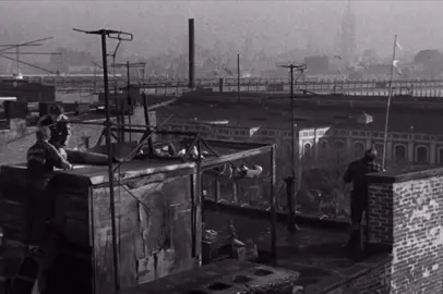 #explore #movie #زواجل #مخلوقات #خربطه 