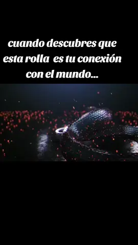 mi canción favorita #mueraelamor #spotify #viraltiktok #tendencias #tifanyespectacular 