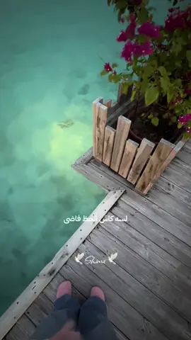 @Ramy Gamal #كاس_الحظ #اكسبلور #fyp #viral #explore 