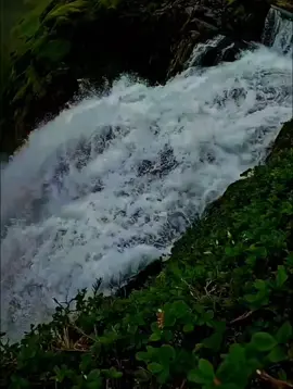 لا تلعب مع شخص يصنع من كل نهاية بداية فمن يمتلك هذه الروح لا تهزه الخسارة #الحياة #كلام_من_الأعماق #عبرات_من_القلب #كلمات_من_القلب  #creatorsearchinsights 