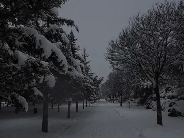 Sevdiyim insanları 🎶 #eşqulduzu 