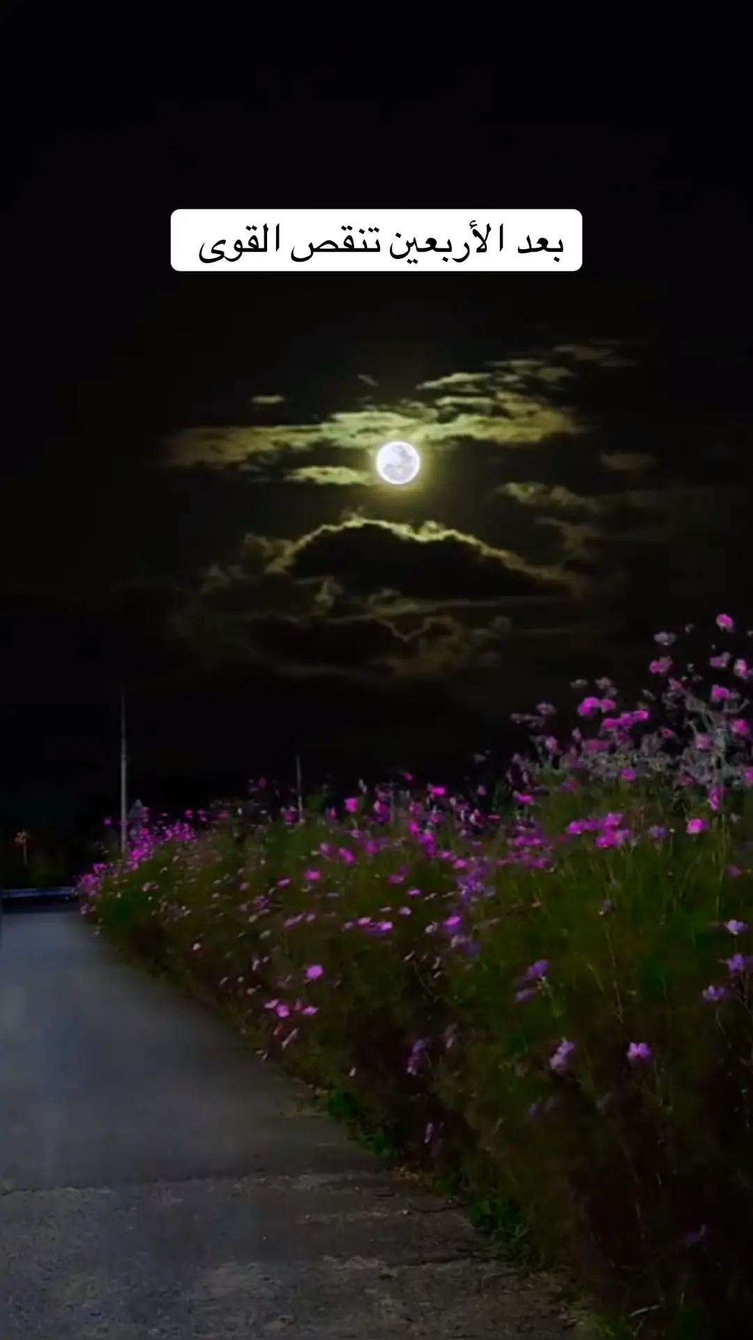 #اربعين #اربعينية #الاربعين #الاربعينيه #40 