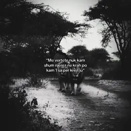 #fyp #lykja_16 #real #vidjo_viral #gooviral 