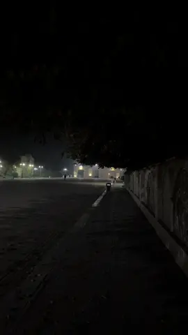 Oğruyam Gəlmişəm bu Ağcabədidən səni oğruyam 🌚 #ağcabədi #agcabedi04 #agcabediicrahakimiyyeti🇦🇿 