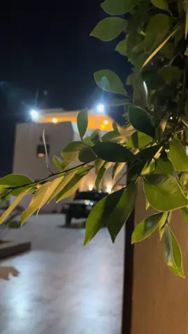 #الشيباني🔥🦅 #جنزور_السياحية_السراج #الزاويه_العنقاء_ليبيا🇱🇾 #اللواء_52_مشاة_الزاوية_العنقاء #غريان_طرابلس_ليبيا🔥🇱🇾🇱🇾 