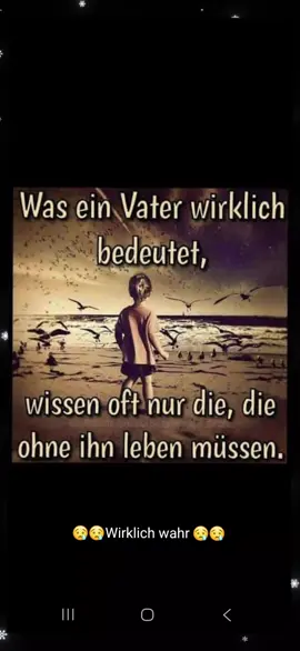 #pokko #musik #voryou #sinti #weihnachten 