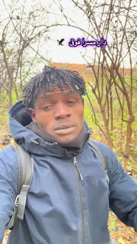 #حميتي_القيــــاده_والخــامــه♕االجنينة 🫶#مساليت_تراث_وثقافه_مسراا___م__س 💪🦅