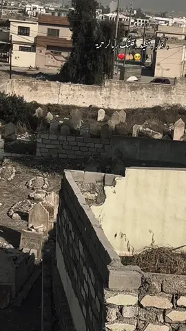 اذكر فقيد قلبك بالرحمة #😔💔 #ستورياتي_حلالكم 