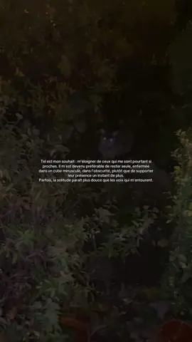 #pourtoi #fyp #muslim #bruxelles #prt 