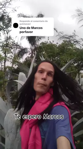 Respuesta a @quintanavl  Etiqueten a Marcos y díganle que lo estoy esperando. #lavozrobotica #lapencademaguey #Antonio #Marcos #paratiiiiiiiiiiiiiiiiiiiiiiiiiiiiiii 