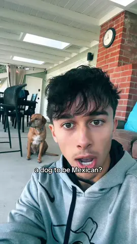 Who taught bro this #storytelling #funny #relatable 