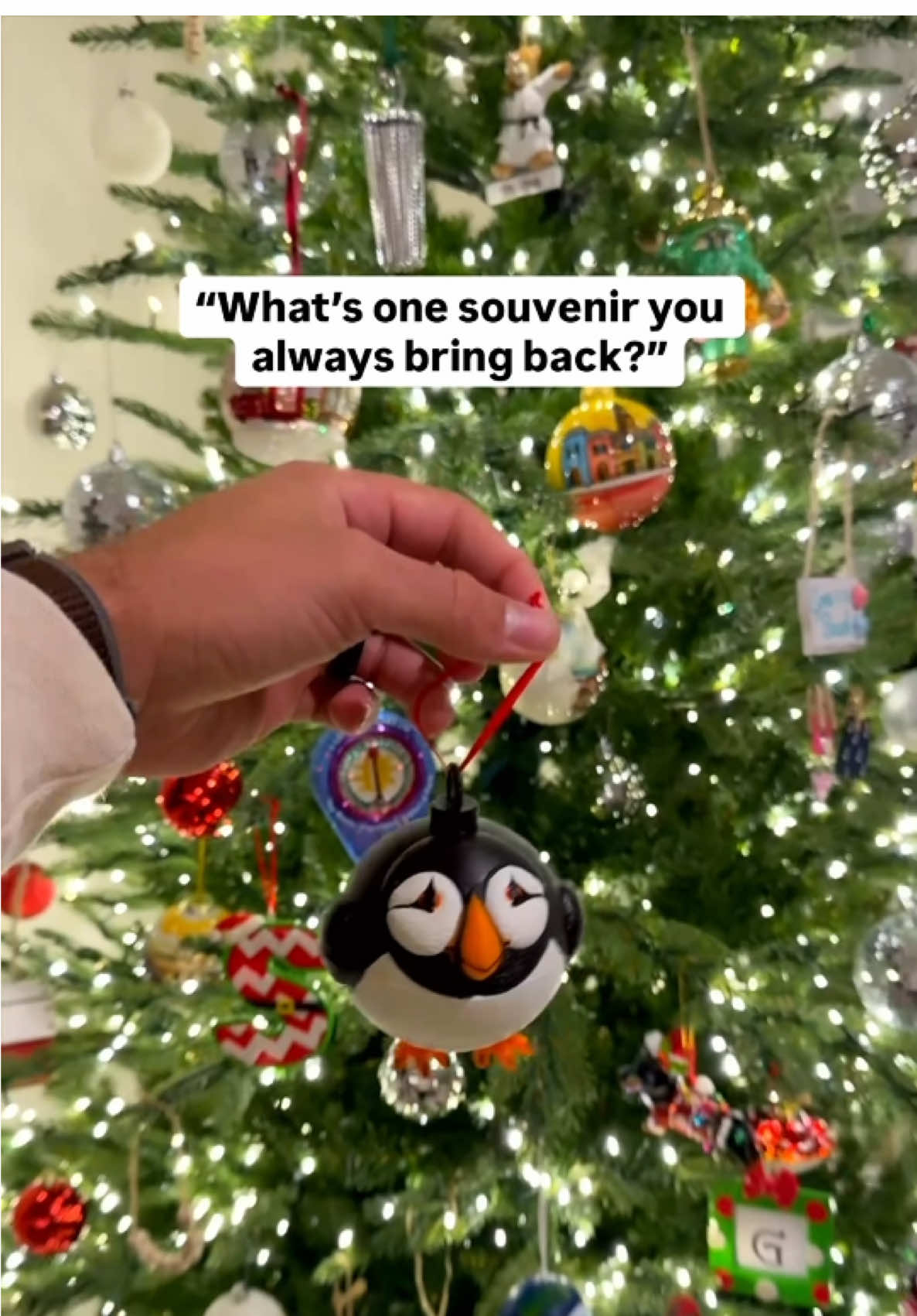 Anyone else collect ornaments when they travel? 🎄  We’ve owned our own home together for 2 years now, and it’s been so fun to have our own tree and traditions come to life! Seeing our ornament collection slowly grow month by month is such a fun way to relive all of the epic memories from our adventures during the holidays 🥹 We love having friends and family over and being able to tell stories about each and every ornament on our tree 🫶🏼 What souvenir do you collect on your travels? 👀 #christmas #ornaments #travel #souvenir #travelcouple 